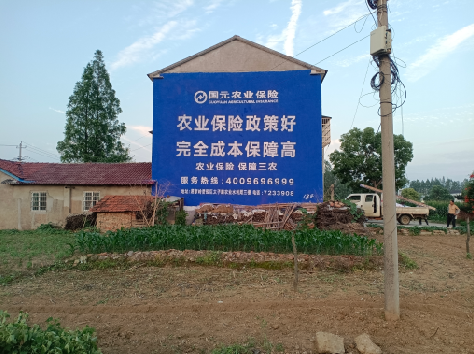 龙南墙体广告的优劣势你知道吗？